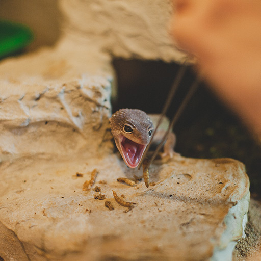 servusKids Dianastrasse Haar Pädagogik